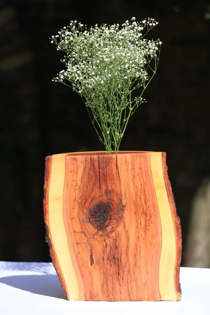 Vase two Sides