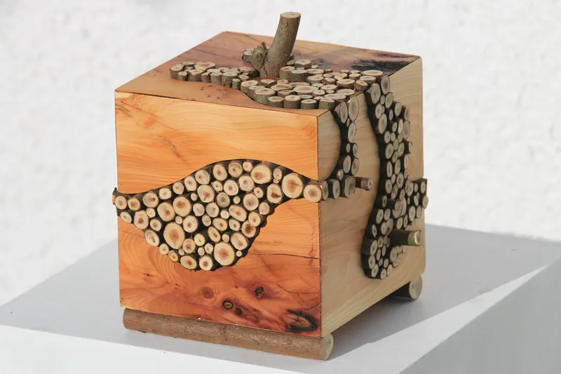 Cube5