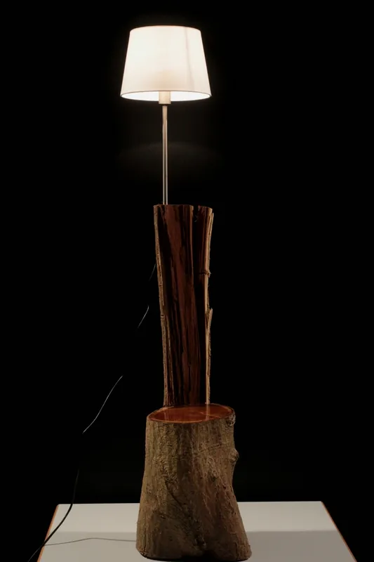 Lampe aus Goldregen